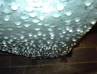 Condensation In A Humid Crawl Space a flooded basement floor in a Ridgewood home