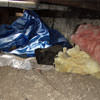 A crawl space filled with loose insulation, debris, and a large tarp in Middle Village.