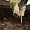 Fiberglass insulation dripping off a pipe in Maspeth.