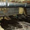 Fiberglass insulation dripping off a floor joist in a soaked crawl space with a think black liner in Brooklyn.
