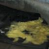 Disintegrated fiberglass insulation sitting in a pool of water in Rosedale.