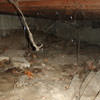 A crawl space with spiderwebs, mold, and uneven floors in South Richmond Hills.