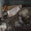 A rotting box sitting on a rock in a crawl space in Oakland Gardens.