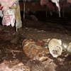 Mold, flooding water, mildew, and rot in a crawl space environment in Saint Albans.