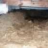 A muddy, disgusting crawl space with little or no head room in Sunnyside.