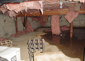 fiberglass insulation dripping off the ceiling of a crawl space in Woodside.