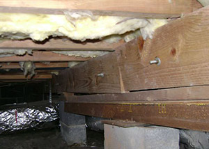 A sagging crawl space with concrete supports and wooden shimming a Ozone Park crawl space