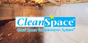 CleanSpace