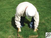 Restoring the landscaping by replacing removed sod on the ground for a Ridgewood home.