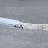 Slab floor cracks showing in a Oakland Gardens home