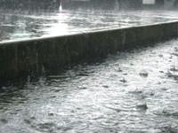 Heavy rains in a downpour in South Richmond Hills.