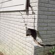 foundation walls cracked due to settlement in Brooklyn