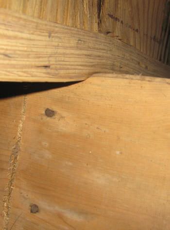 severe damage to a crawl space structure in a Woodside home