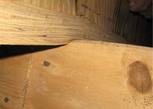 A failing girder showing signs of compression damage in a Rosedale home
