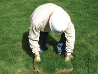 Restoring the landscaping by replacing removed lawn sections for a Flushing home.