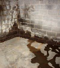 Water seeping through a concrete wall in a Whitestone basement