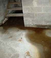 Basement Flooding Causes & Prevention in NYC: Staten Island Brooklyn ...