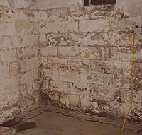 Peeling, Chipping, Basement Wall Coatings in Rosedale